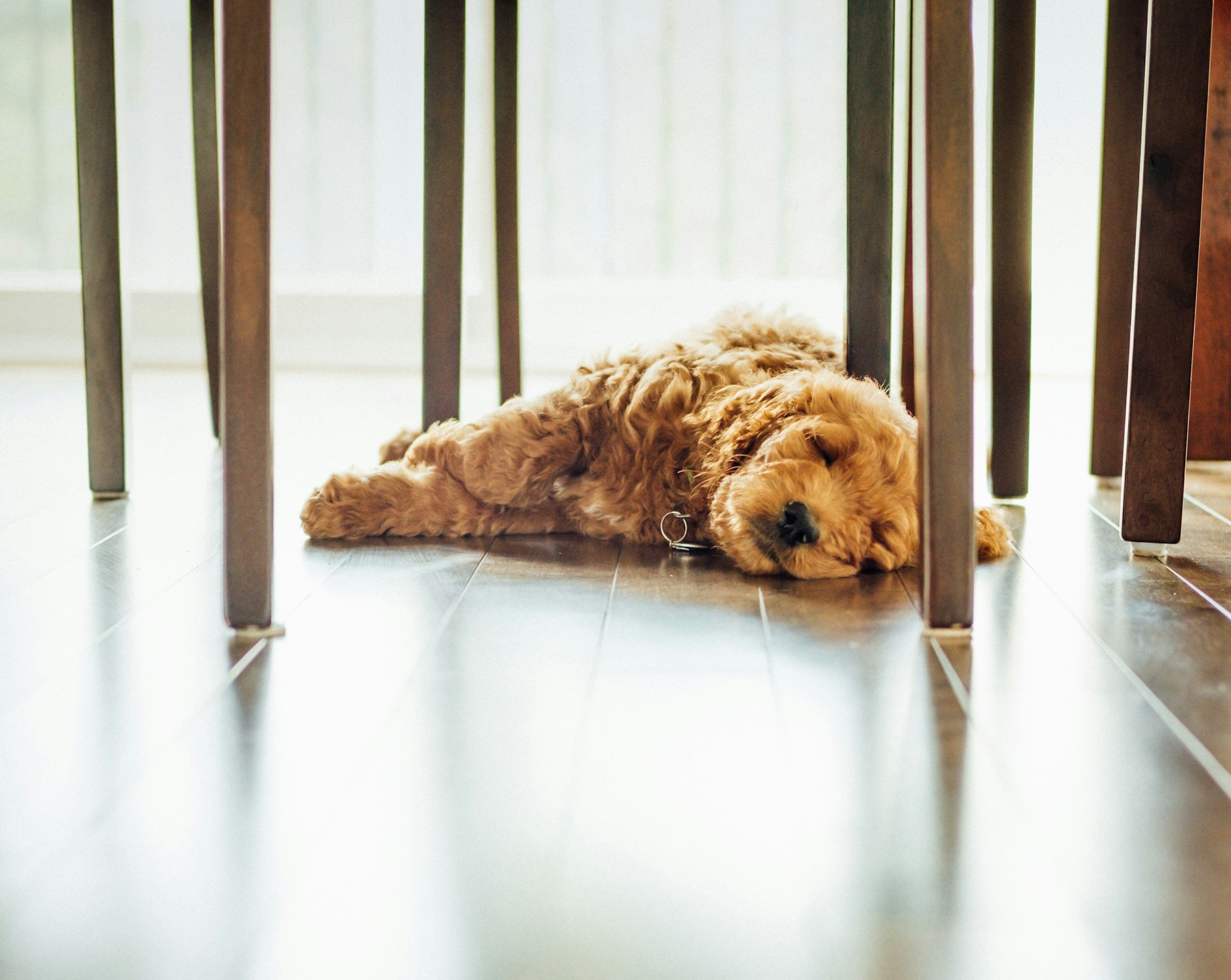 Underfloor heating for efficiency and comfort 