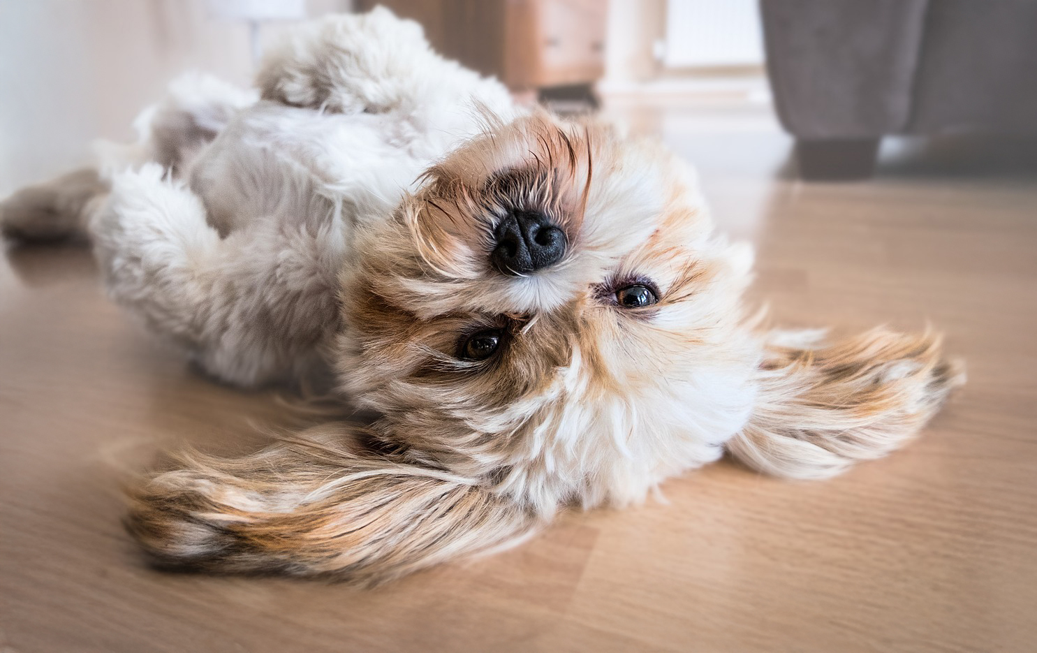 Underfloor heating for efficiency and comfort 