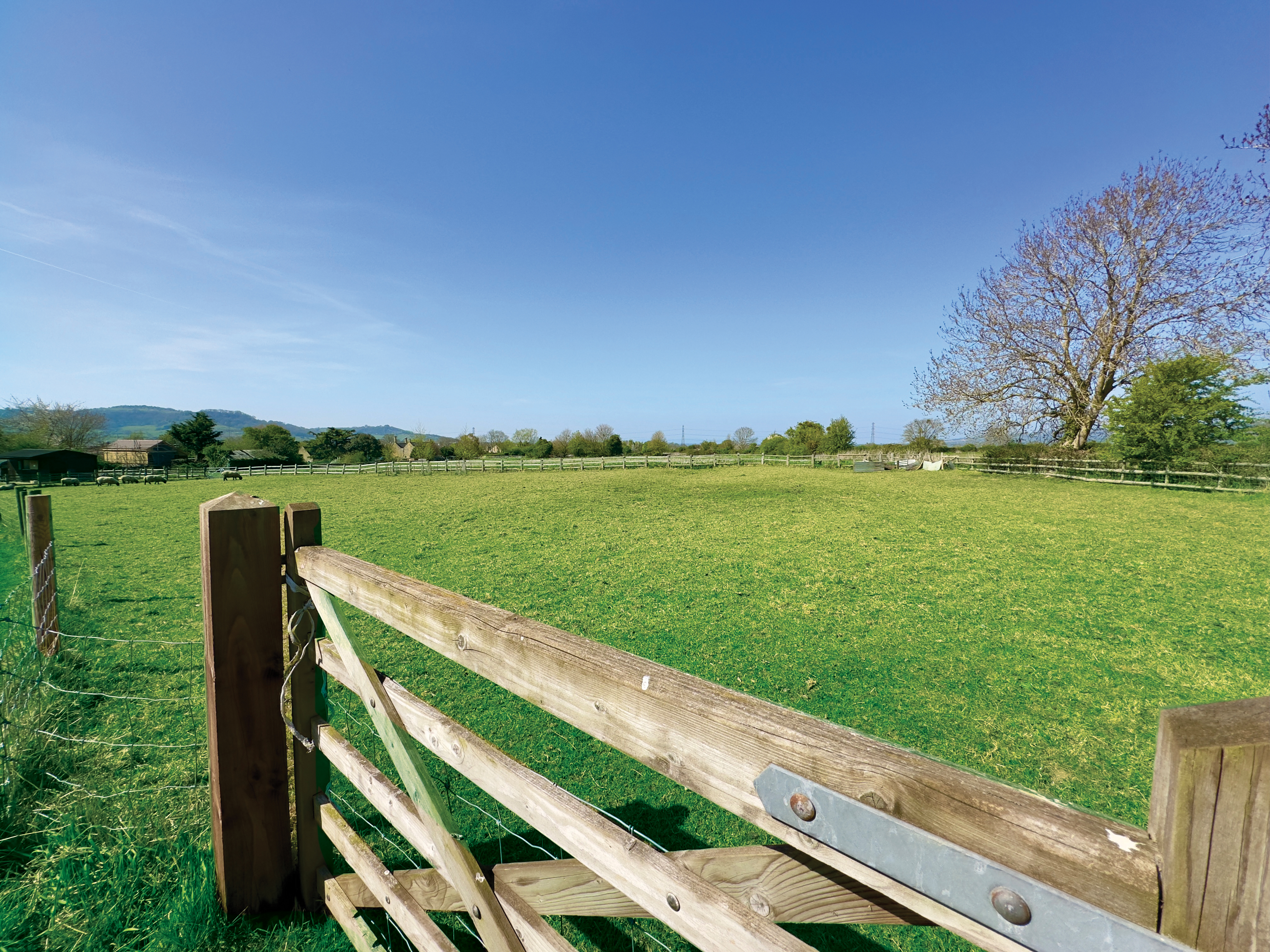 2 The Nesbit - Investor Opportunity